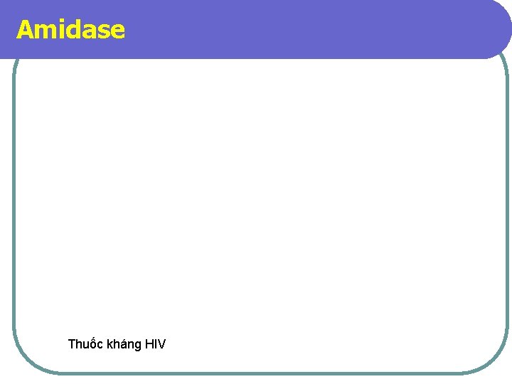 Amidase Thuốc kháng HIV 