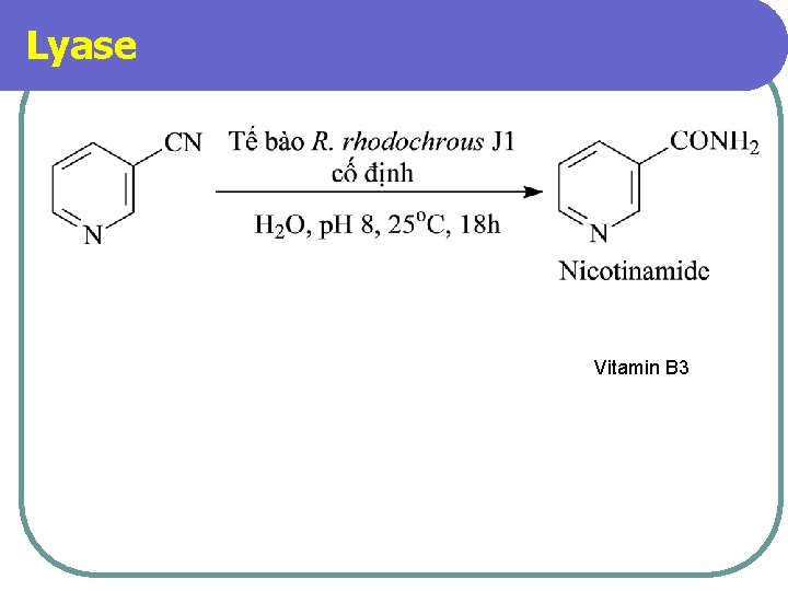 Lyase Vitamin B 3 