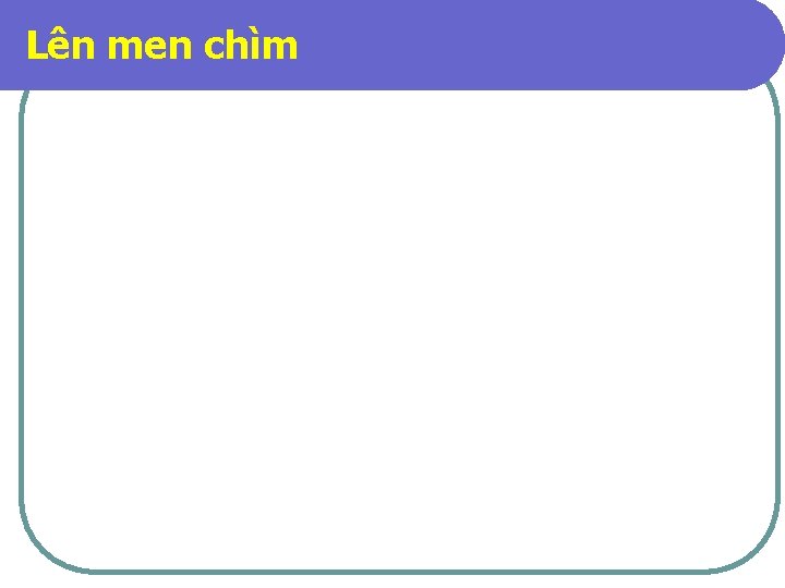 Lên men chìm 