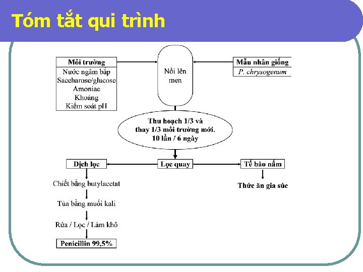 Tóm tắt qui trình 