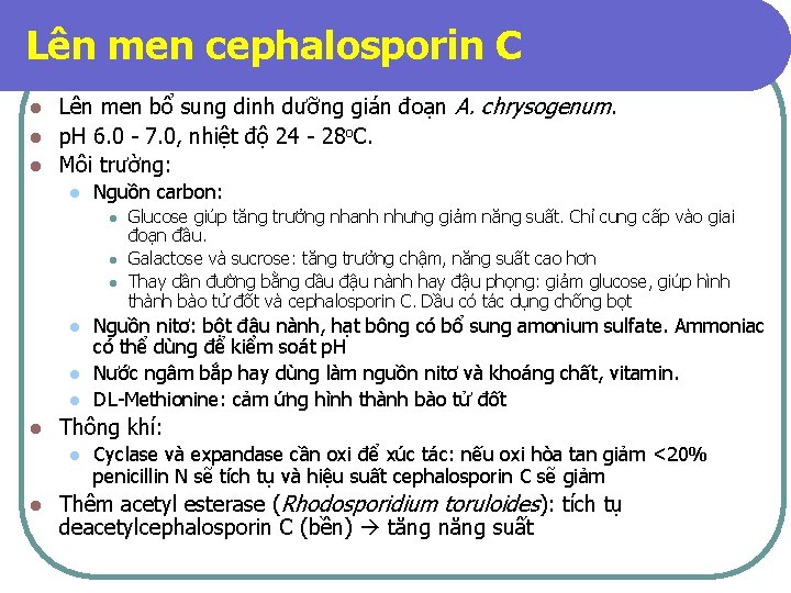 Lên men cephalosporin C Lên men bổ sung dinh dưỡng gián đoạn A. chrysogenum.