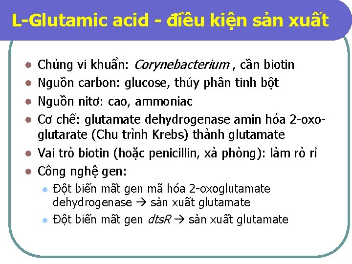 L-Glutamic acid - điều kiện sản xuất l l l Chủng vi khuẩn: Corynebacterium