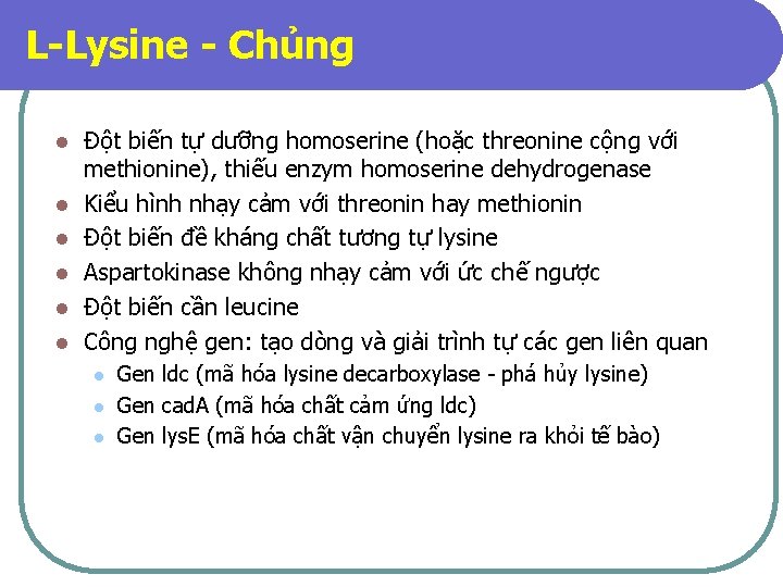 L-Lysine - Chủng l l l Đột biến tự dưỡng homoserine (hoặc threonine cộng