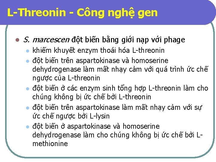 L-Threonin - Công nghệ gen l S. marcescen đột biến bằng giới nạp với