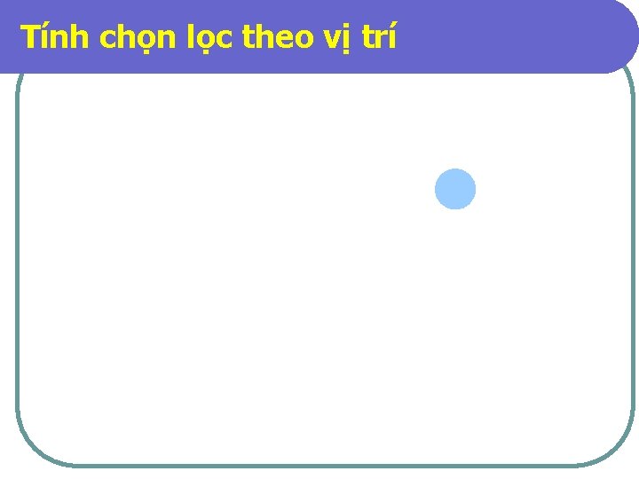 Tính chọn lọc theo vị trí 