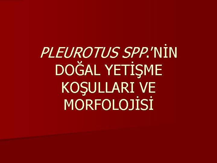 PLEUROTUS SPP. ’NİN DOĞAL YETİŞME KOŞULLARI VE MORFOLOJİSİ 