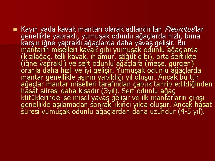 n Kayın yada kavak mantarı olarak adlandırılan Pleurotus’lar genellikle yapraklı, yumuşak odunlu ağaçlarda hızlı,