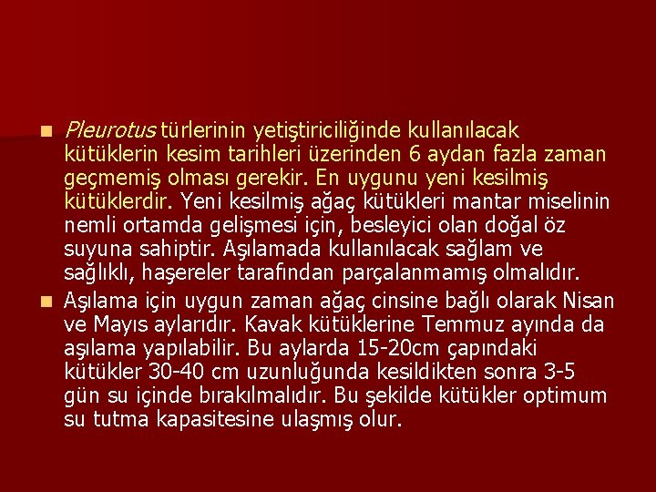 n Pleurotus türlerinin yetiştiriciliğinde kullanılacak kütüklerin kesim tarihleri üzerinden 6 aydan fazla zaman geçmemiş