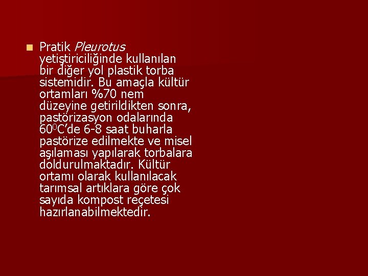 n Pratik Pleurotus yetiştiriciliğinde kullanılan bir diğer yol plastik torba sistemidir. Bu amaçla kültür