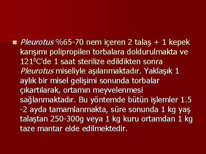 n Pleurotus %65 -70 nem içeren 2 talaş + 1 kepek karışımı polipropilen torbalara