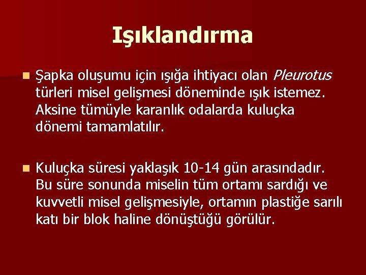 Işıklandırma n Şapka oluşumu için ışığa ihtiyacı olan Pleurotus türleri misel gelişmesi döneminde ışık