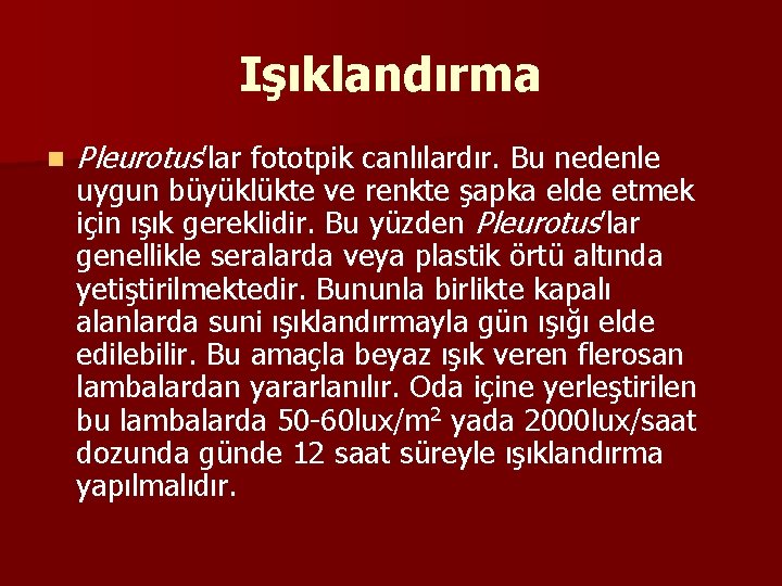 Işıklandırma n Pleurotus’lar fototpik canlılardır. Bu nedenle uygun büyüklükte ve renkte şapka elde etmek