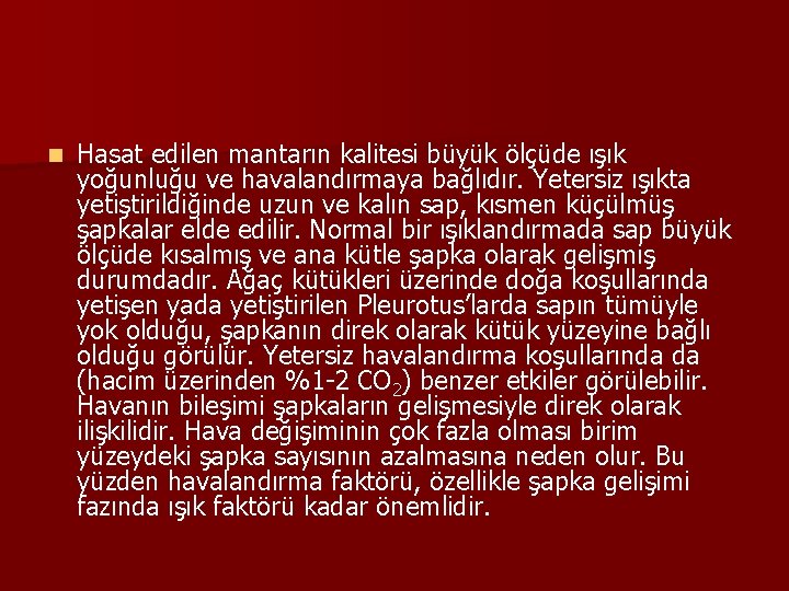 n Hasat edilen mantarın kalitesi büyük ölçüde ışık yoğunluğu ve havalandırmaya bağlıdır. Yetersiz ışıkta