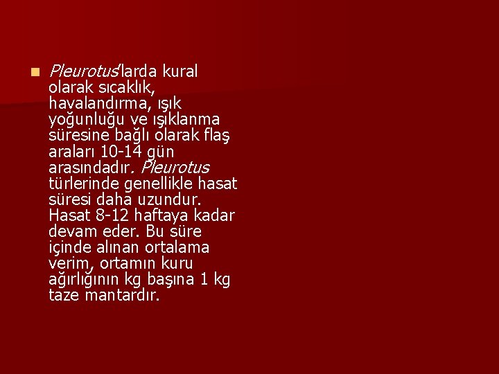 n Pleurotus’larda kural olarak sıcaklık, havalandırma, ışık yoğunluğu ve ışıklanma süresine bağlı olarak flaş