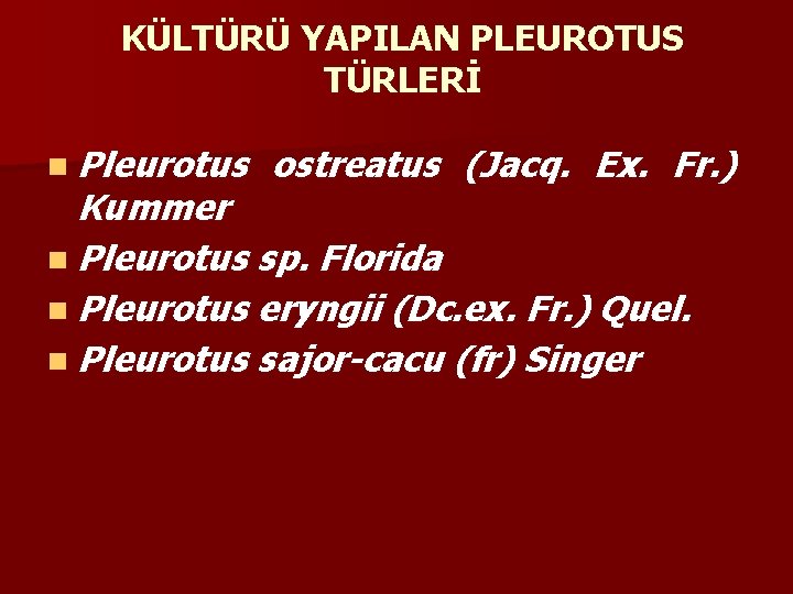KÜLTÜRÜ YAPILAN PLEUROTUS TÜRLERİ n Pleurotus ostreatus (Jacq. Ex. Fr. ) Kummer n Pleurotus