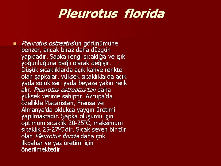 Pleurotus florida n Pleurotus ostreatus’un görünümüne benzer, ancak biraz daha düzgün yapıdadır. Şapka rengi