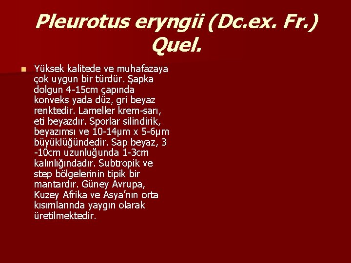 Pleurotus eryngii (Dc. ex. Fr. ) Quel. n Yüksek kalitede ve muhafazaya çok uygun