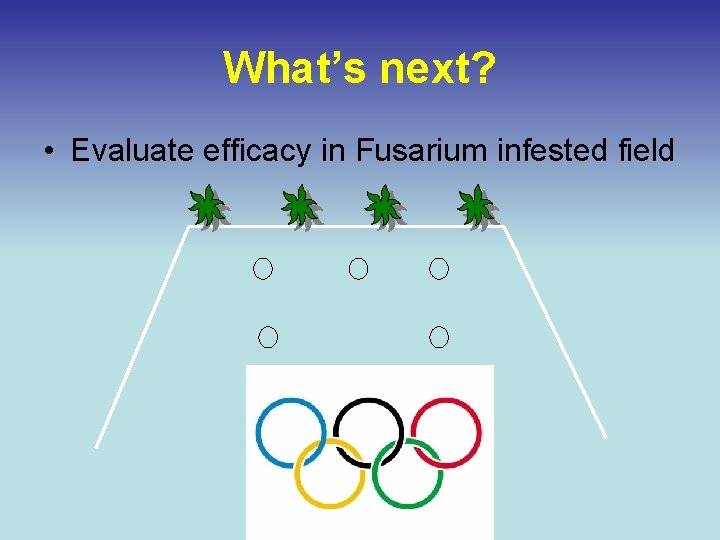 What’s next? • Evaluate efficacy in Fusarium infested field 