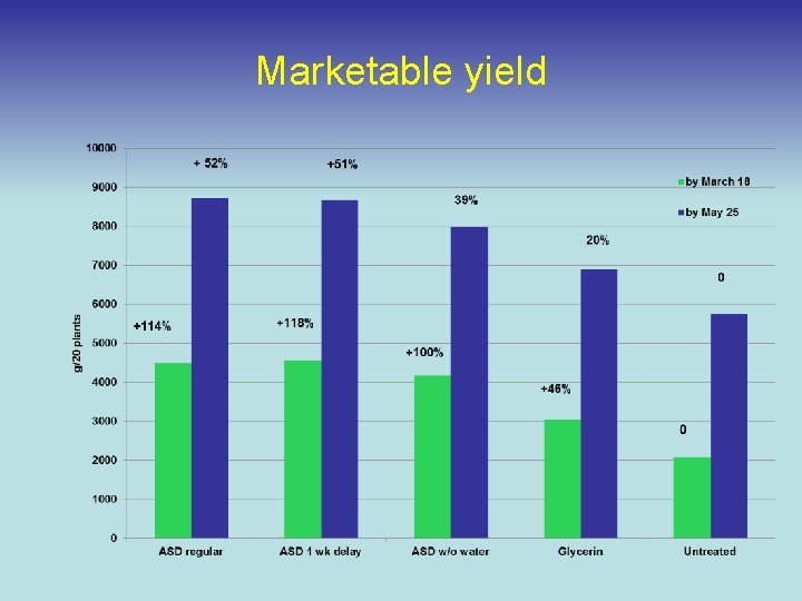 Marketable yield 