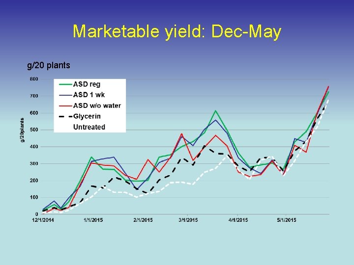 Marketable yield: Dec-May g/20 plants 
