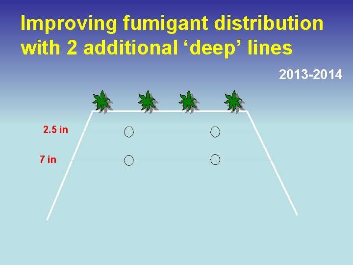 Improving fumigant distribution with 2 additional ‘deep’ lines 2013 -2014 2. 5 in 7