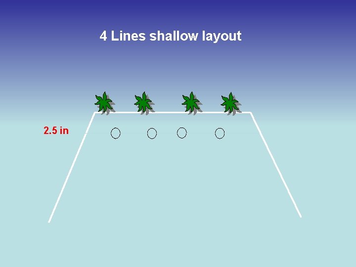 4 Lines shallow layout 2. 5 in 