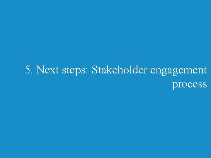 5. Next steps: Stakeholder engagement process 