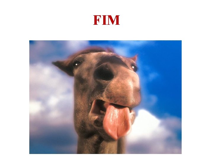 FIM 