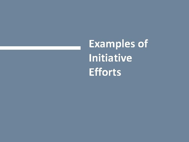 Examples of Initiative Efforts 