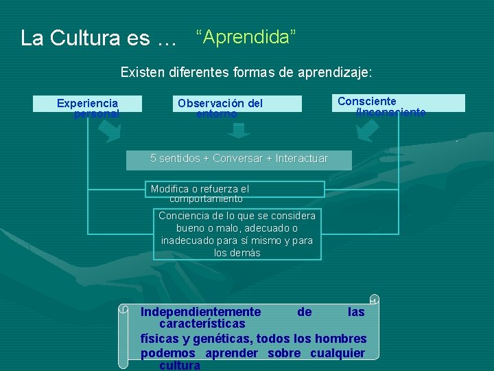 La Cultura es … “Aprendida” Existen diferentes formas de aprendizaje: Experiencia personal Observación del