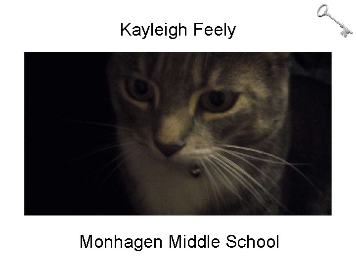 Kayleigh Feely Monhagen Middle School 