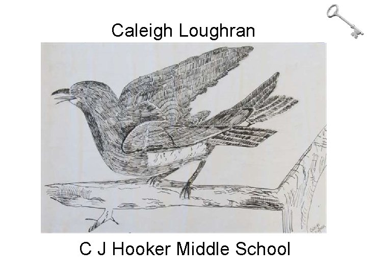 Caleigh Loughran C J Hooker Middle School 