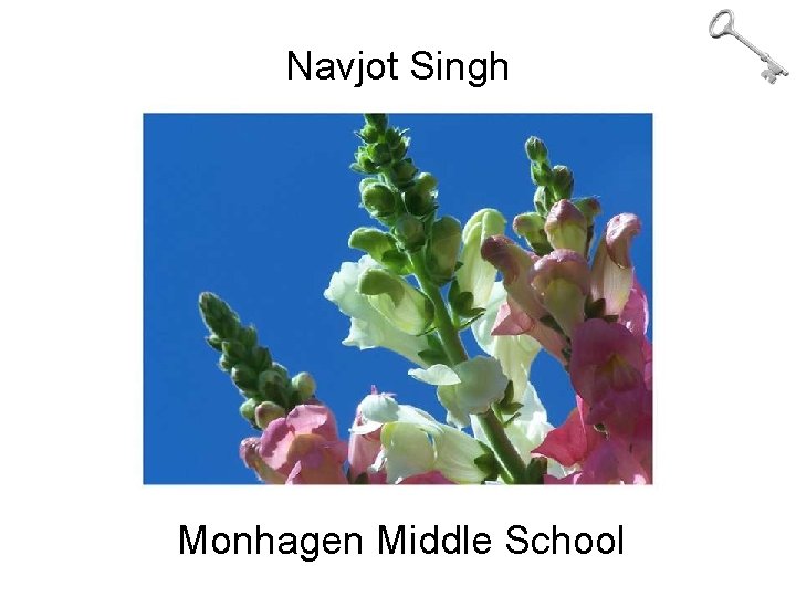 Navjot Singh Monhagen Middle School 