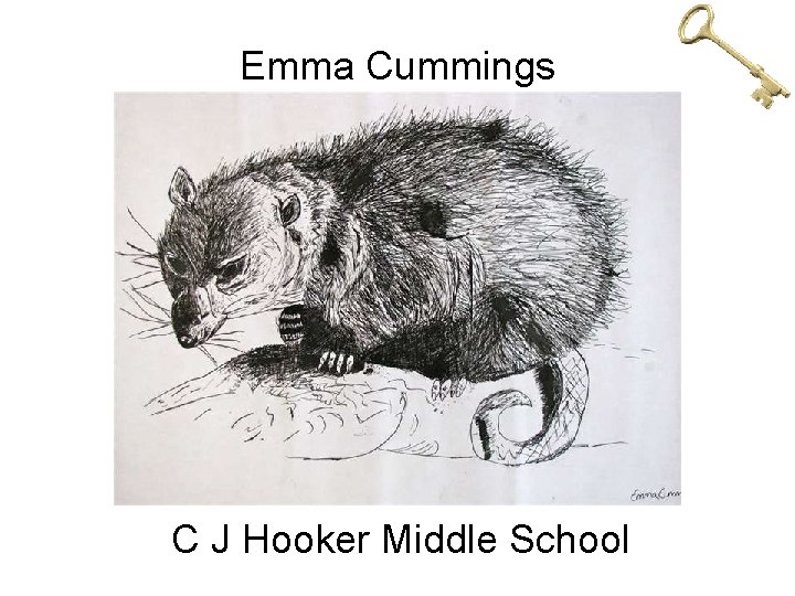 Emma Cummings C J Hooker Middle School 