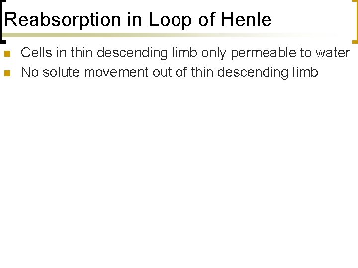 Reabsorption in Loop of Henle n n Cells in thin descending limb only permeable