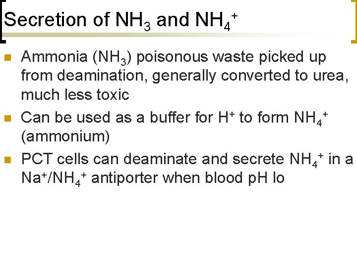 Secretion of NH 3 and NH 4+ n n n Ammonia (NH 3) poisonous