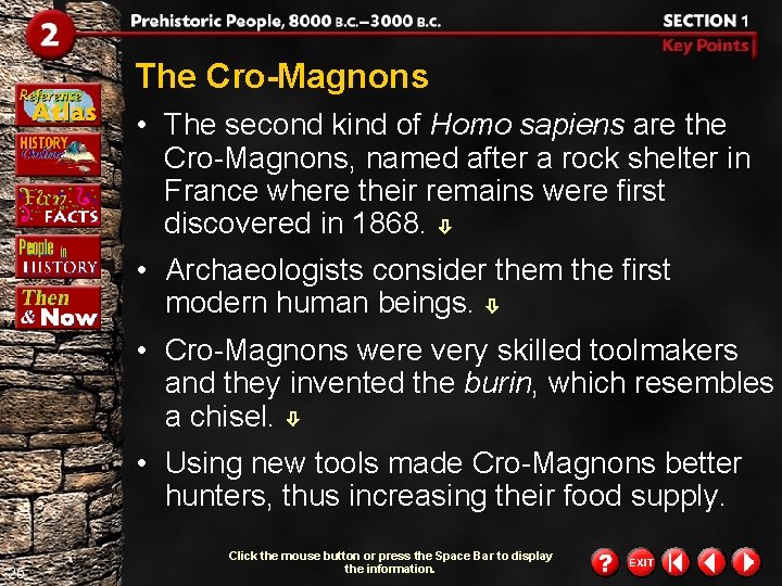 The Cro-Magnons • The second kind of Homo sapiens are the Cro-Magnons, named after