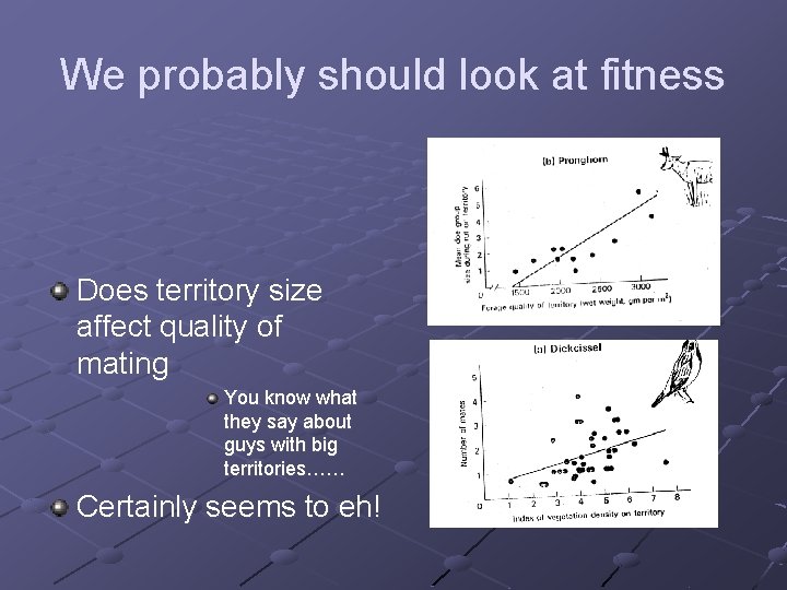 We probably should look at fitness Does territory size affect quality of mating You