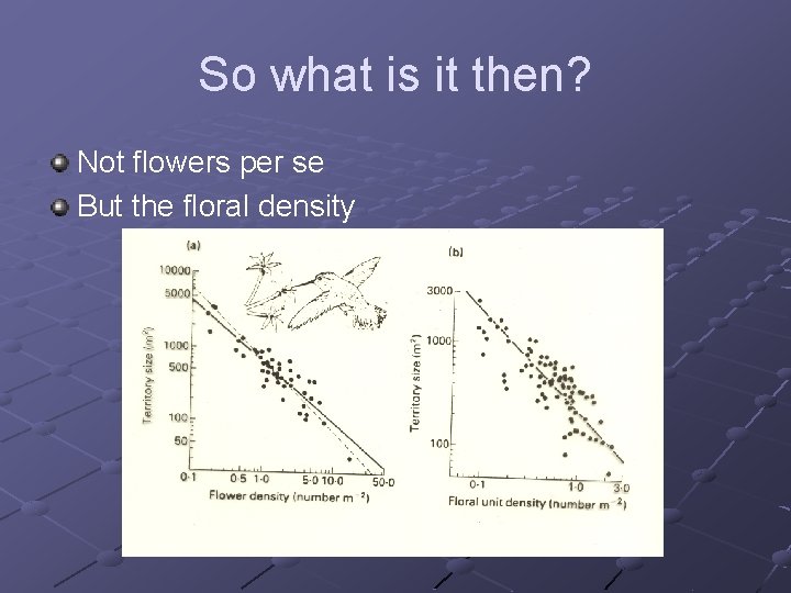 So what is it then? Not flowers per se But the floral density 