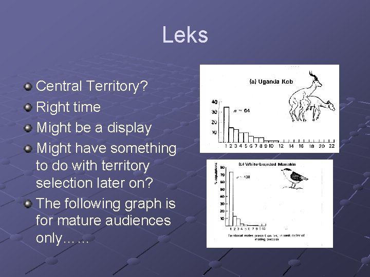 Leks Central Territory? Right time Might be a display Might have something to do