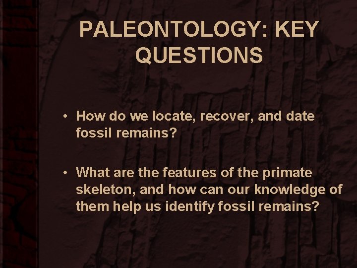 PALEONTOLOGY: KEY QUESTIONS • How do we locate, recover, and date fossil remains? •