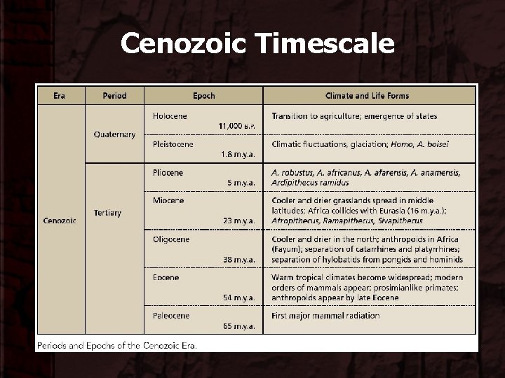 Cenozoic Timescale 