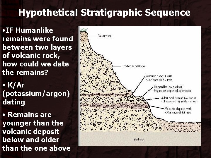 Hypothetical Stratigraphic Sequence • IF Humanlike remains were found between two layers of volcanic