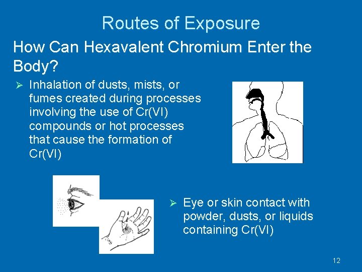 Routes of Exposure How Can Hexavalent Chromium Enter the Body? Inhalation of dusts, mists,