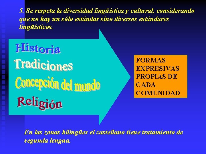 5. Se respeta la diversidad lingüística y cultural, considerando que no hay un sólo