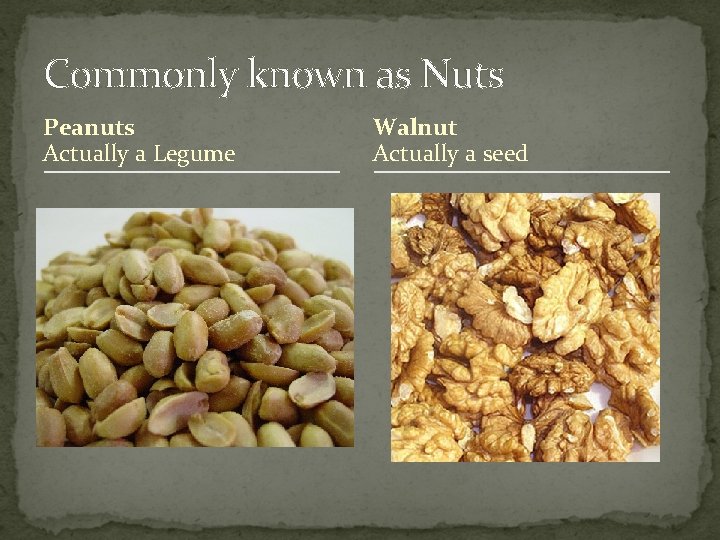 Commonly known as Nuts Peanuts Actually a Legume Walnut Actually a seed 