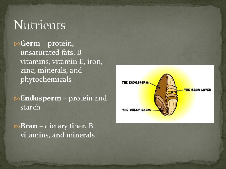 Nutrients Germ – protein, unsaturated fats, B vitamins, vitamin E, iron, zinc, minerals, and
