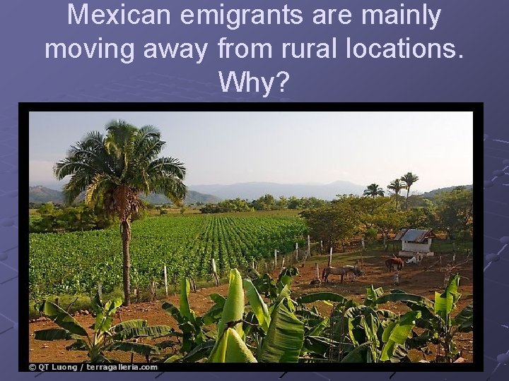 Mexican emigrants are mainly moving away from rural locations. Why? 