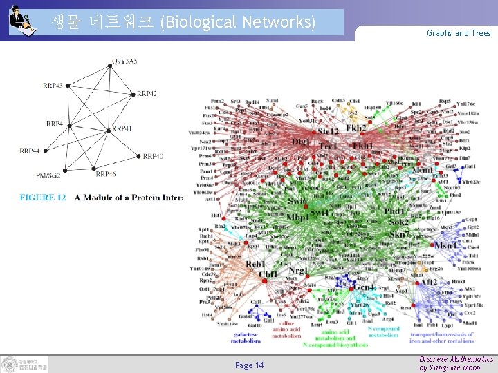 생물 네트워크 (Biological Networks) Page 14 Graphs and Trees Discrete Mathematics by Yang-Sae Moon