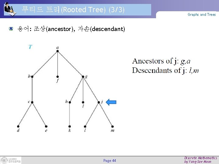 루티드 트리(Rooted Tree) (3/3) Graphs and Trees 용어: 조상(ancestor), 자손(descendant) Page 44 Discrete Mathematics